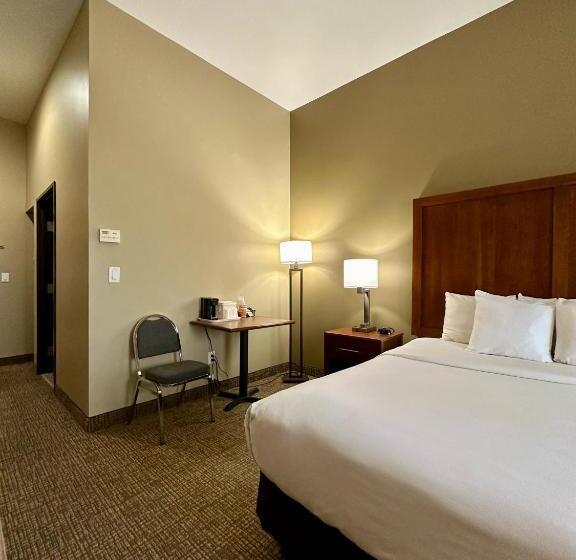 适合残疾人士使用的带超级大床的标准间, Comfort Inn Ogden Near Event Center