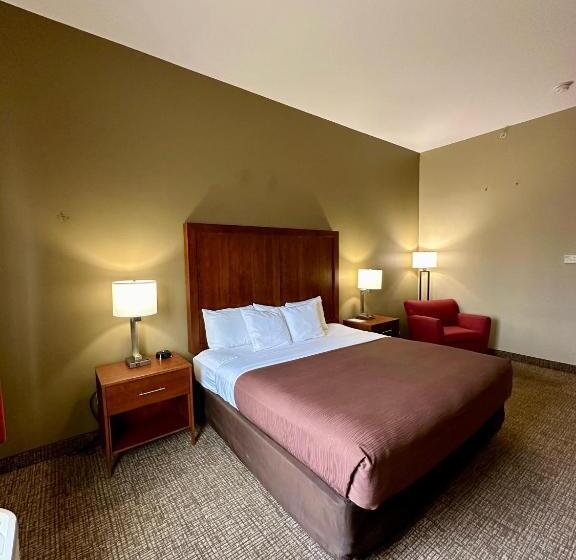 带大床的标准间, Comfort Inn Ogden Near Event Center