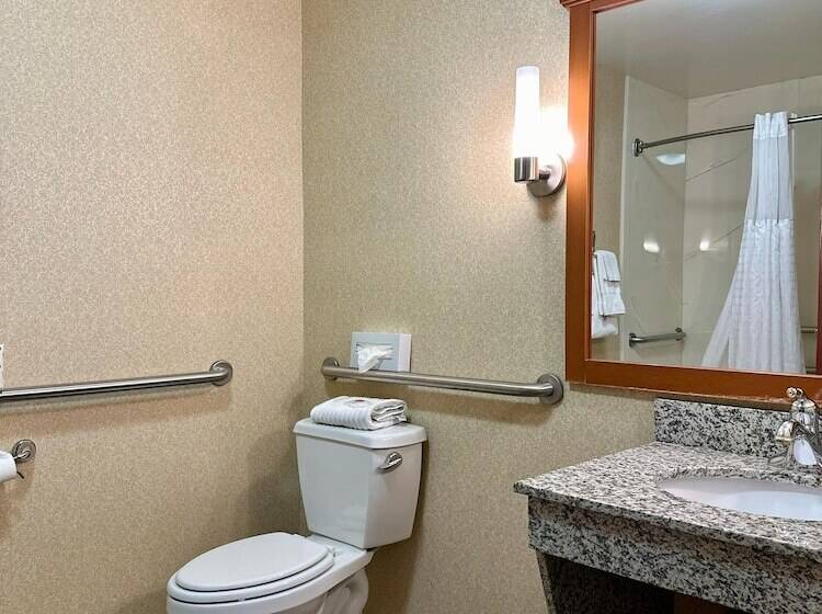 适合残疾人士使用的套间, Comfort Inn Ogden Near Event Center