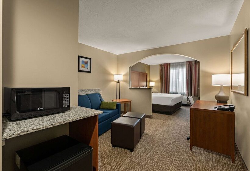 适合残疾人士使用的套间, Comfort Inn Ogden Near Event Center