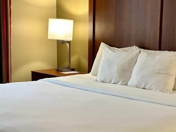 适合残疾人士使用的套间, Comfort Inn Ogden Near Event Center