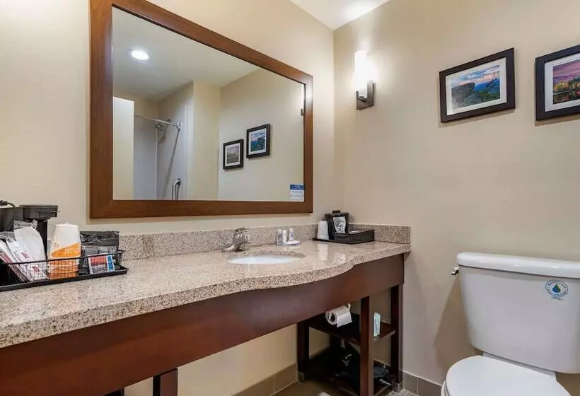 スイート, Comfort Suites Pell City I 20 Exit 158