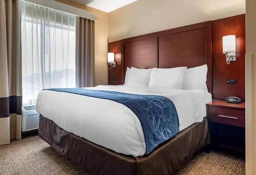 スイート, Comfort Suites Pell City I 20 Exit 158