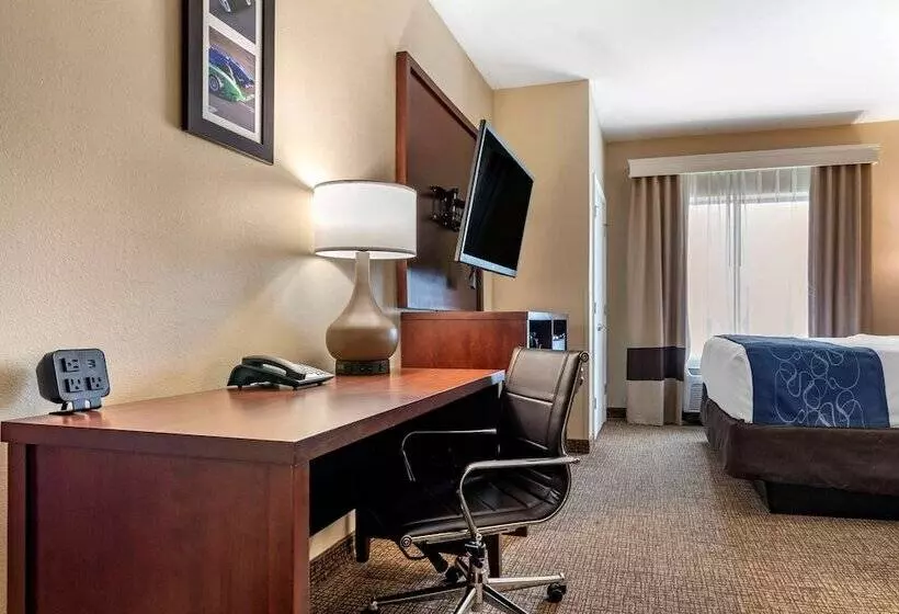 スイート, Comfort Suites Pell City I 20 Exit 158