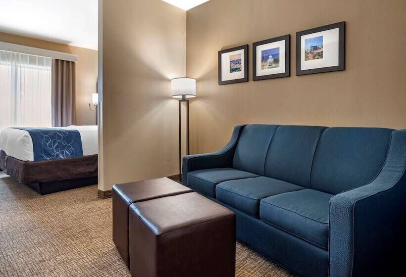 스위트, Comfort Suites Pell City I 20 Exit 158