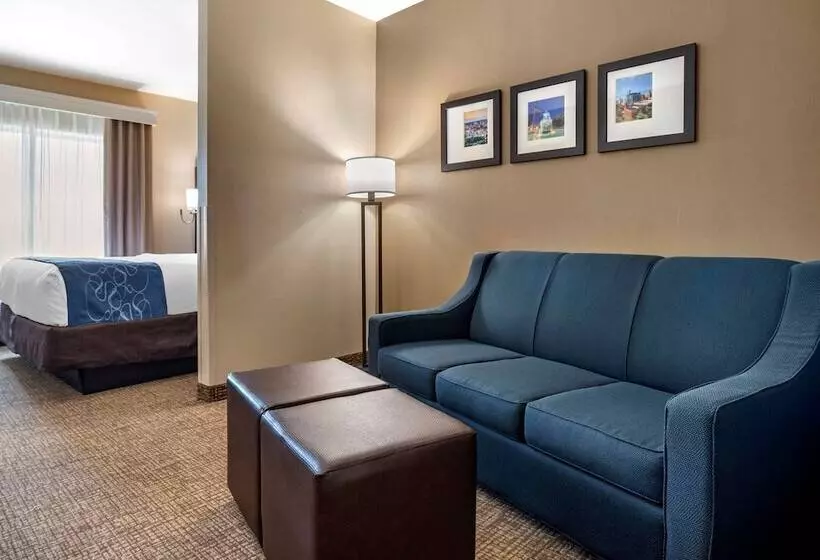 スイート, Comfort Suites Pell City I 20 Exit 158