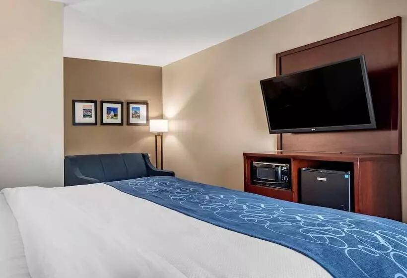 スイート, Comfort Suites Pell City I 20 Exit 158