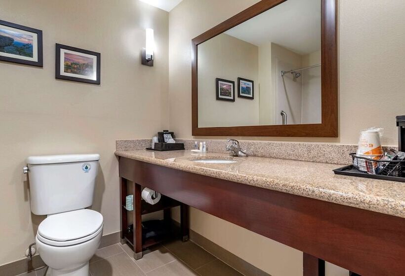 جناح, Comfort Suites Pell City I 20 Exit 158