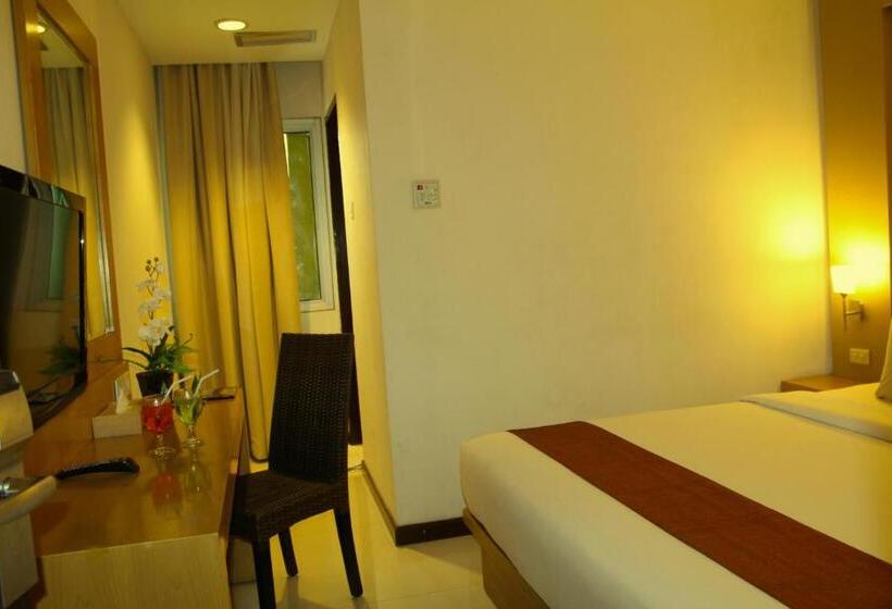 غرفة سوبيريور, Drego