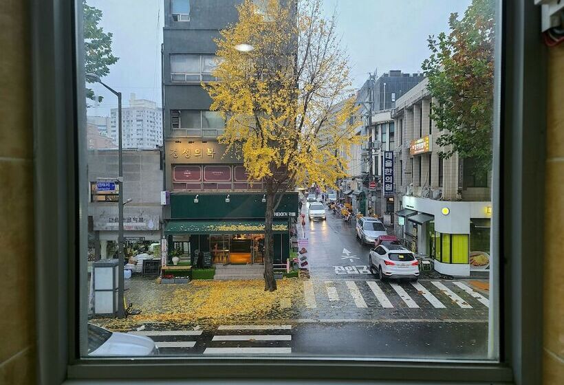 חדר יחיד בסיסי, Hostel Tommy