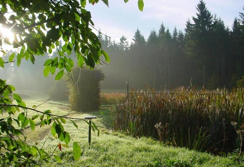 スーペリアールーム, Landhotel Altes Zollhaus