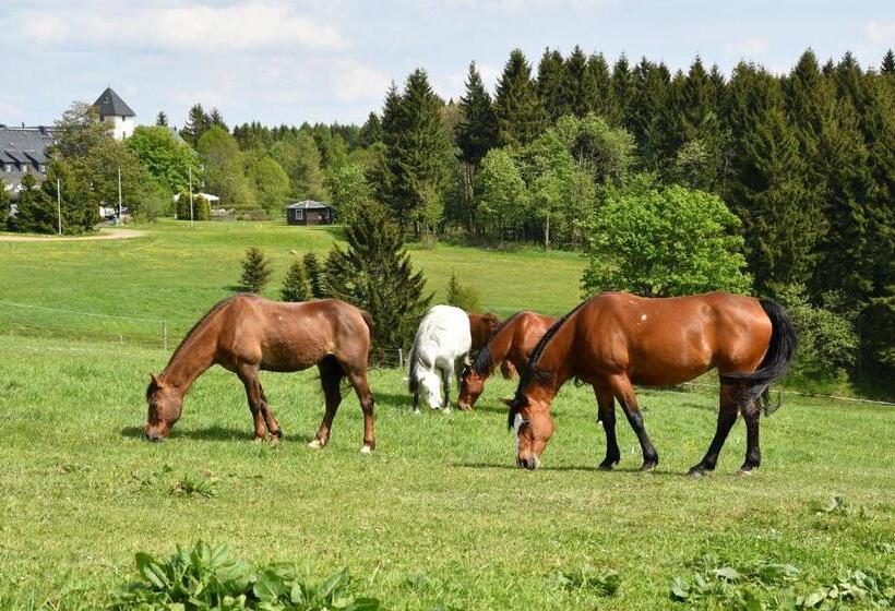 スーペリアールーム, Landhotel Altes Zollhaus