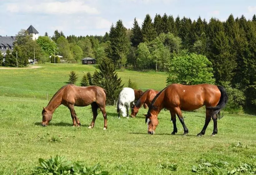 Sviitti, Landhotel Altes Zollhaus