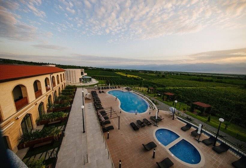 اتاق استاندارد با چشمانداز استخر, Panorama Kakheti Resort By Cosmos Hotels