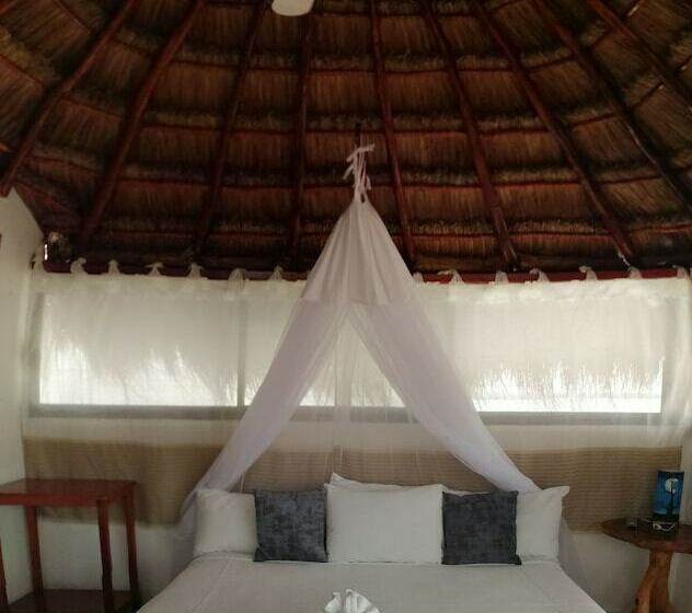 كابينة, El Faro