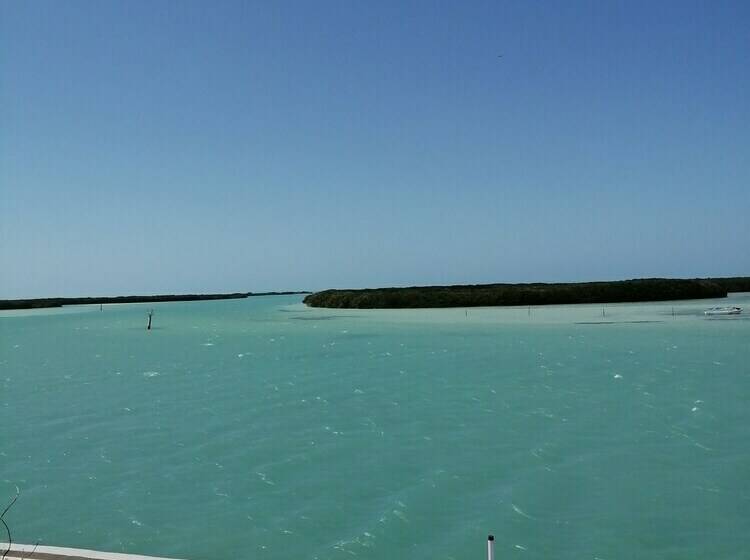 كابينة, El Faro