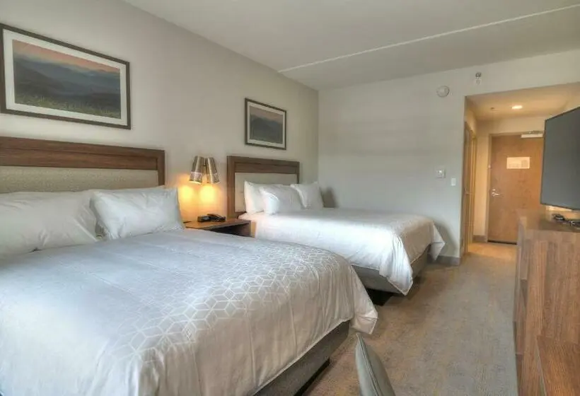 バルコニー付きスタンダードルーム, Holiday Inn & Suites Pigeon Forge Convention Center, An Ihg