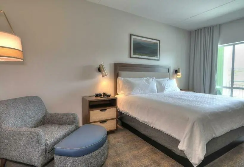 スタンダードルーム, Holiday Inn & Suites Pigeon Forge Convention Center, An Ihg