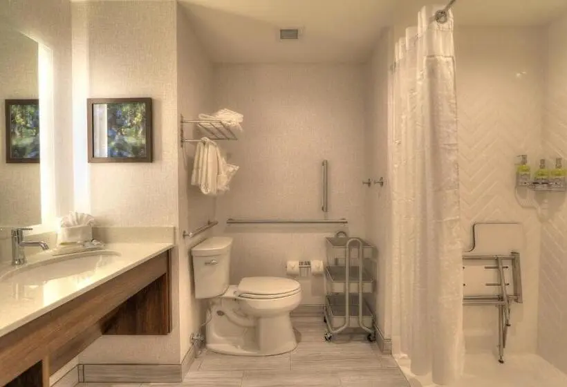 身障者適用キングサイズベッドルーム, Holiday Inn & Suites Pigeon Forge Convention Center, An Ihg