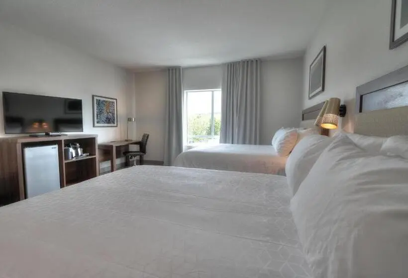 身障者適用スタンダードルーム, Holiday Inn & Suites Pigeon Forge Convention Center, An Ihg