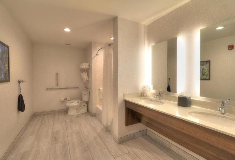 适合残疾人使用的标准间, Holiday Inn & Suites Pigeon Forge Convention Center, An Ihg