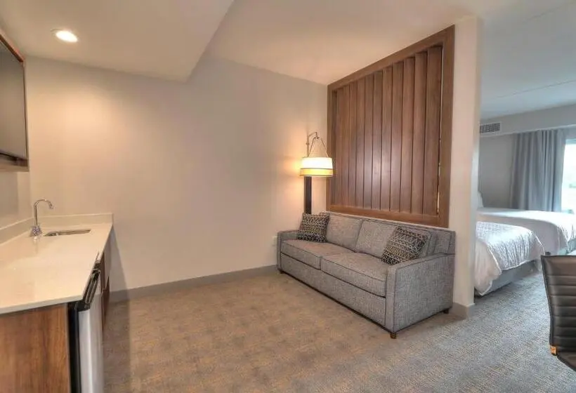 身障者適用スタンダードルーム, Holiday Inn & Suites Pigeon Forge Convention Center, An Ihg