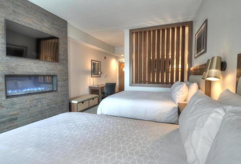 适合残疾人使用的标准间, Holiday Inn & Suites Pigeon Forge Convention Center, An Ihg