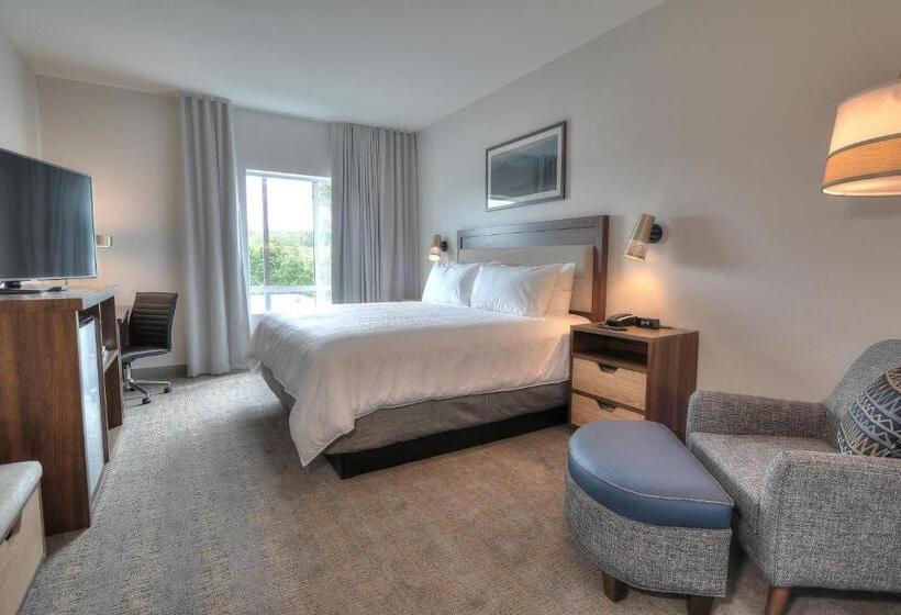 اتاق استاندارد با تخت بزرگ, Holiday Inn & Suites Pigeon Forge Convention Center, An Ihg