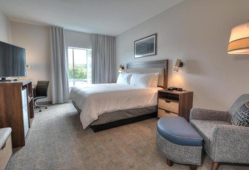 اتاق استاندارد با تخت بزرگ, Holiday Inn & Suites Pigeon Forge Convention Center, An Ihg