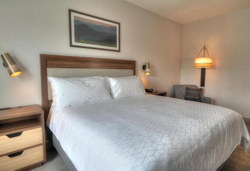 اتاق استاندارد با تخت بزرگ, Holiday Inn & Suites Pigeon Forge Convention Center, An Ihg