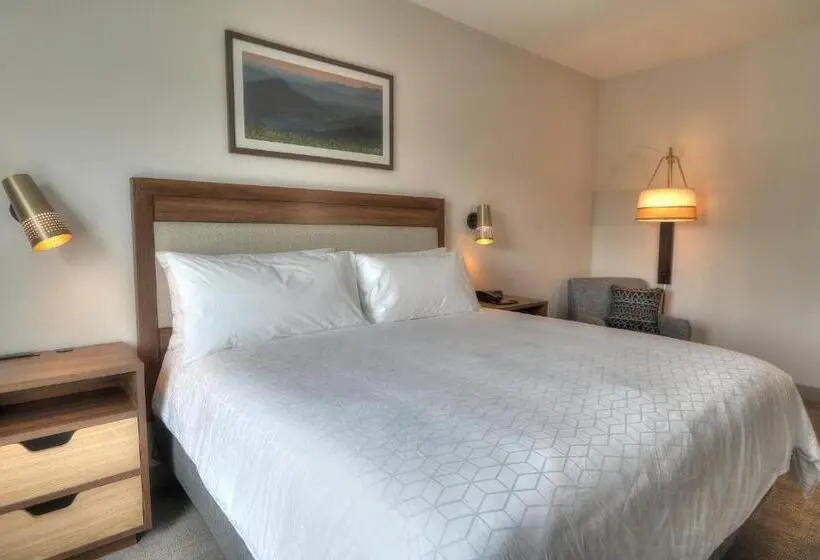 キングサイズベッドのスタンダードルーム, Holiday Inn & Suites Pigeon Forge Convention Center, An Ihg