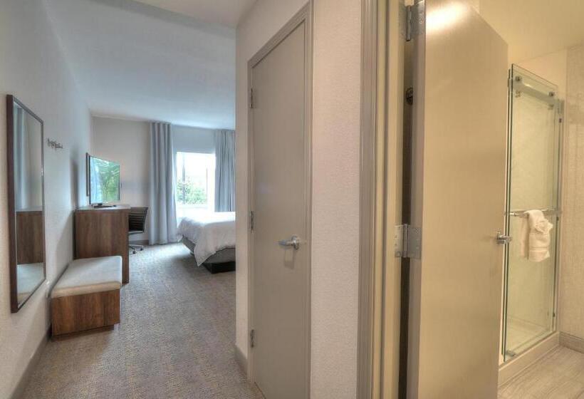 اتاق استاندارد با تخت بزرگ, Holiday Inn & Suites Pigeon Forge Convention Center, An Ihg