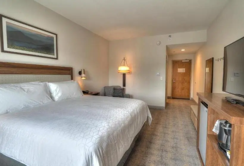 キングサイズベッドのスタンダードルーム, Holiday Inn & Suites Pigeon Forge Convention Center, An Ihg