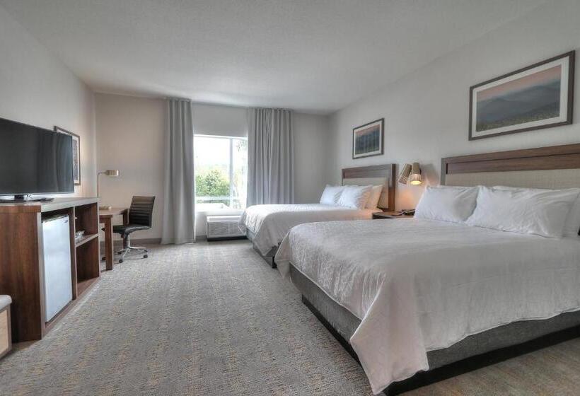 带2个双人床的标准工作室, Holiday Inn & Suites Pigeon Forge Convention Center, An Ihg