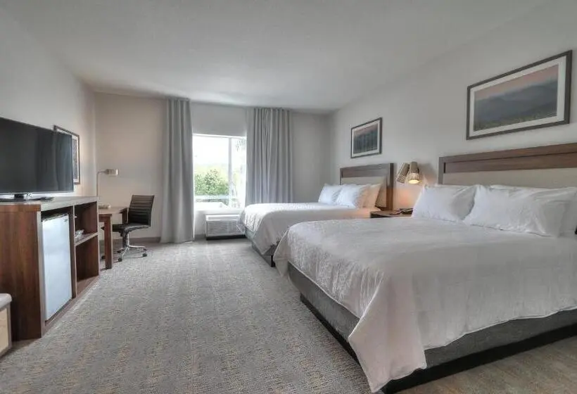 2ダブルベッドのスタンダードルーム, Holiday Inn & Suites Pigeon Forge Convention Center, An Ihg