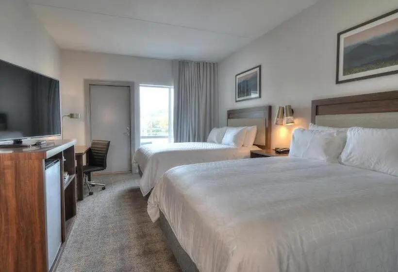 クイーンサイズベッドのスイートルーム, Holiday Inn & Suites Pigeon Forge Convention Center, An Ihg