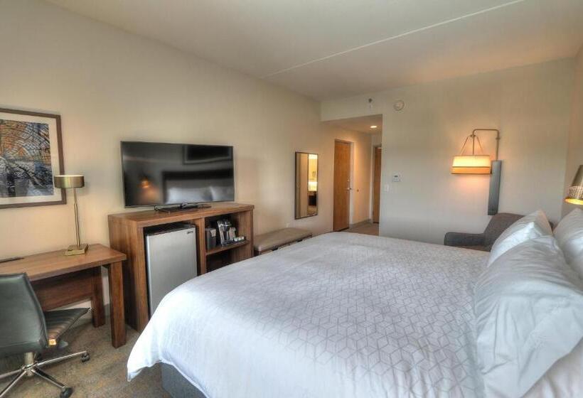اتاق استاندارد با تخت بزرگ, Holiday Inn & Suites Pigeon Forge Convention Center, An Ihg