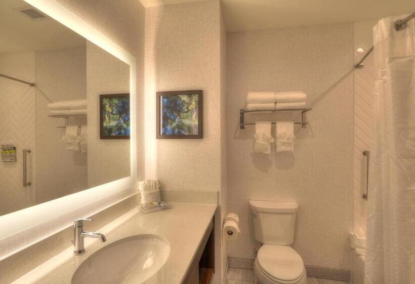 اتاق استاندارد با چشمانداز رودخانه, Holiday Inn & Suites Pigeon Forge Convention Center, An Ihg