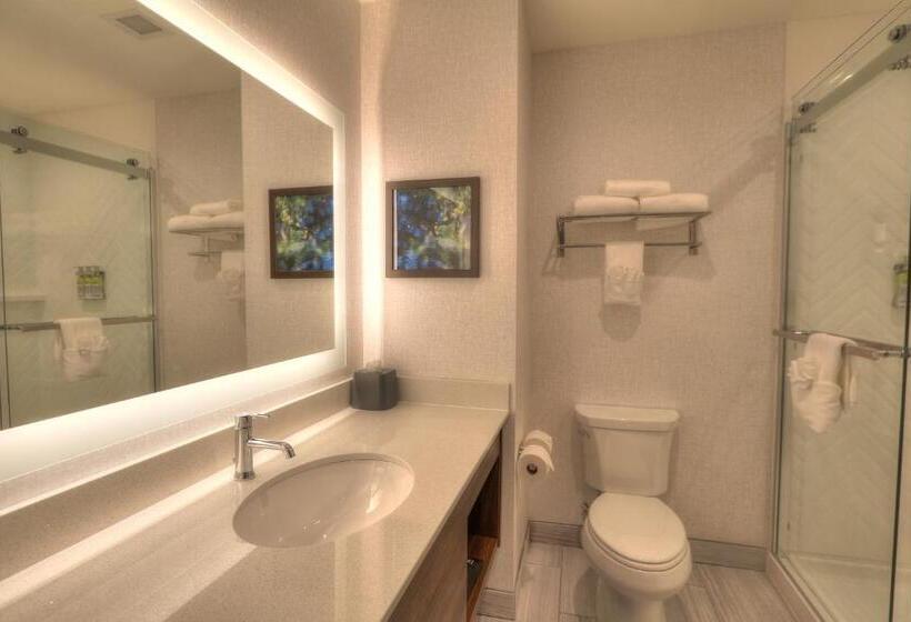 带大床的套房, Holiday Inn & Suites Pigeon Forge Convention Center, An Ihg