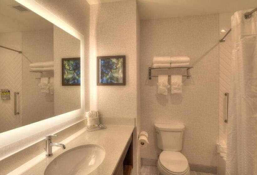 سوئیت با چشمانداز رودخانه, Holiday Inn & Suites Pigeon Forge Convention Center, An Ihg