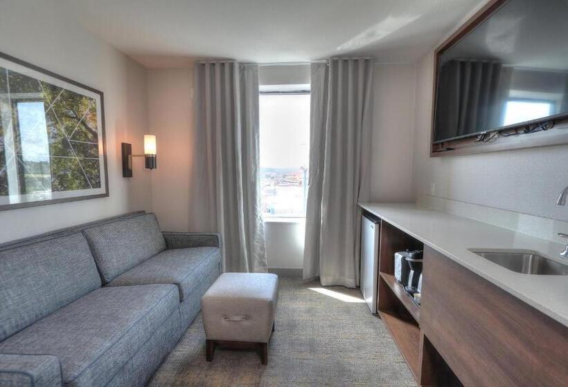 سوئیت با چشمانداز رودخانه, Holiday Inn & Suites Pigeon Forge Convention Center, An Ihg