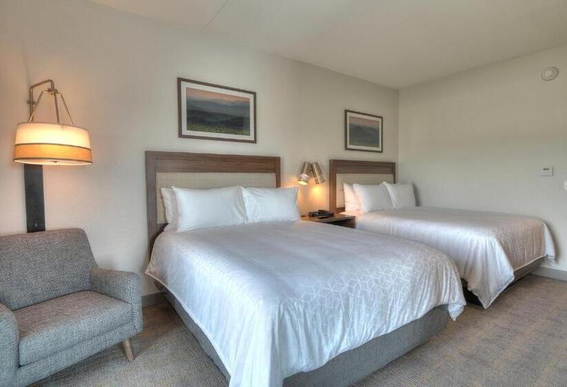 带河湖景观的套房, Holiday Inn & Suites Pigeon Forge Convention Center, An Ihg