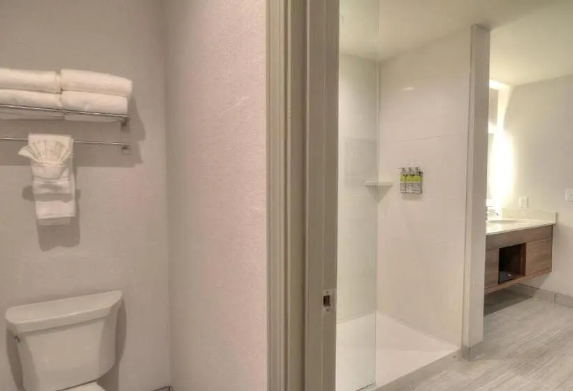 景色の見えるスイートルーム, Holiday Inn & Suites Pigeon Forge Convention Center, An Ihg