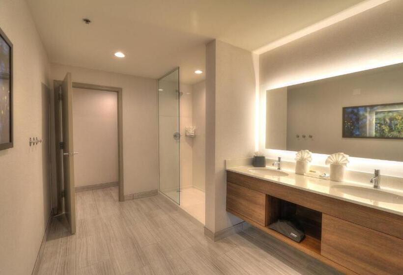 سوئیت با چشمانداز, Holiday Inn & Suites Pigeon Forge Convention Center, An Ihg