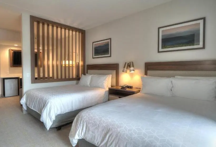 景色の見えるスイートルーム, Holiday Inn & Suites Pigeon Forge Convention Center, An Ihg