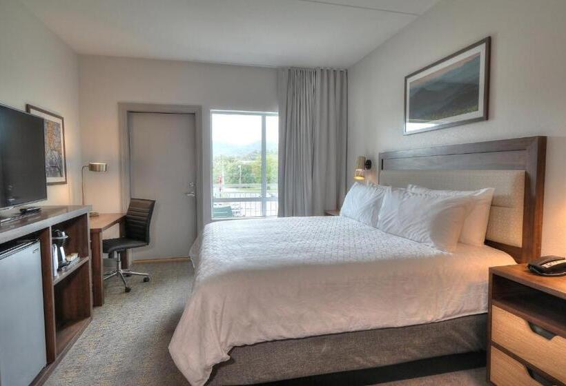 اتاق استاندارد با تخت بزرگ, Holiday Inn & Suites Pigeon Forge Convention Center, An Ihg
