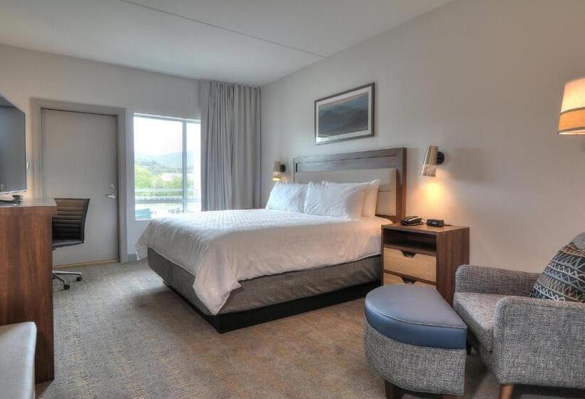 اتاق استاندارد با تخت بزرگ, Holiday Inn & Suites Pigeon Forge Convention Center, An Ihg
