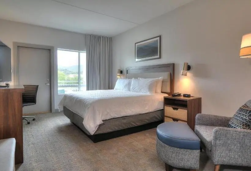 キングサイズベッドのスタンダードルーム, Holiday Inn & Suites Pigeon Forge Convention Center, An Ihg