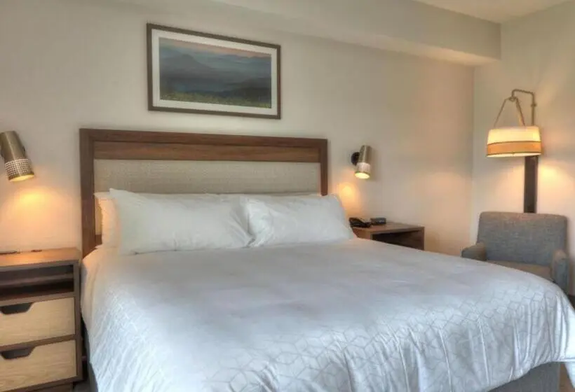 身障者適用スタンダードルーム, Holiday Inn & Suites Pigeon Forge Convention Center, An Ihg