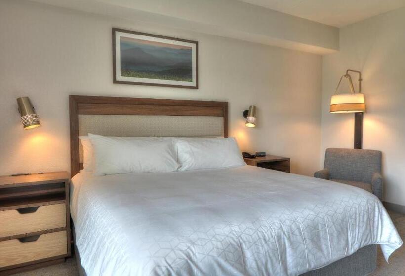 اتاق استاندارد برای معلولان, Holiday Inn & Suites Pigeon Forge Convention Center, An Ihg